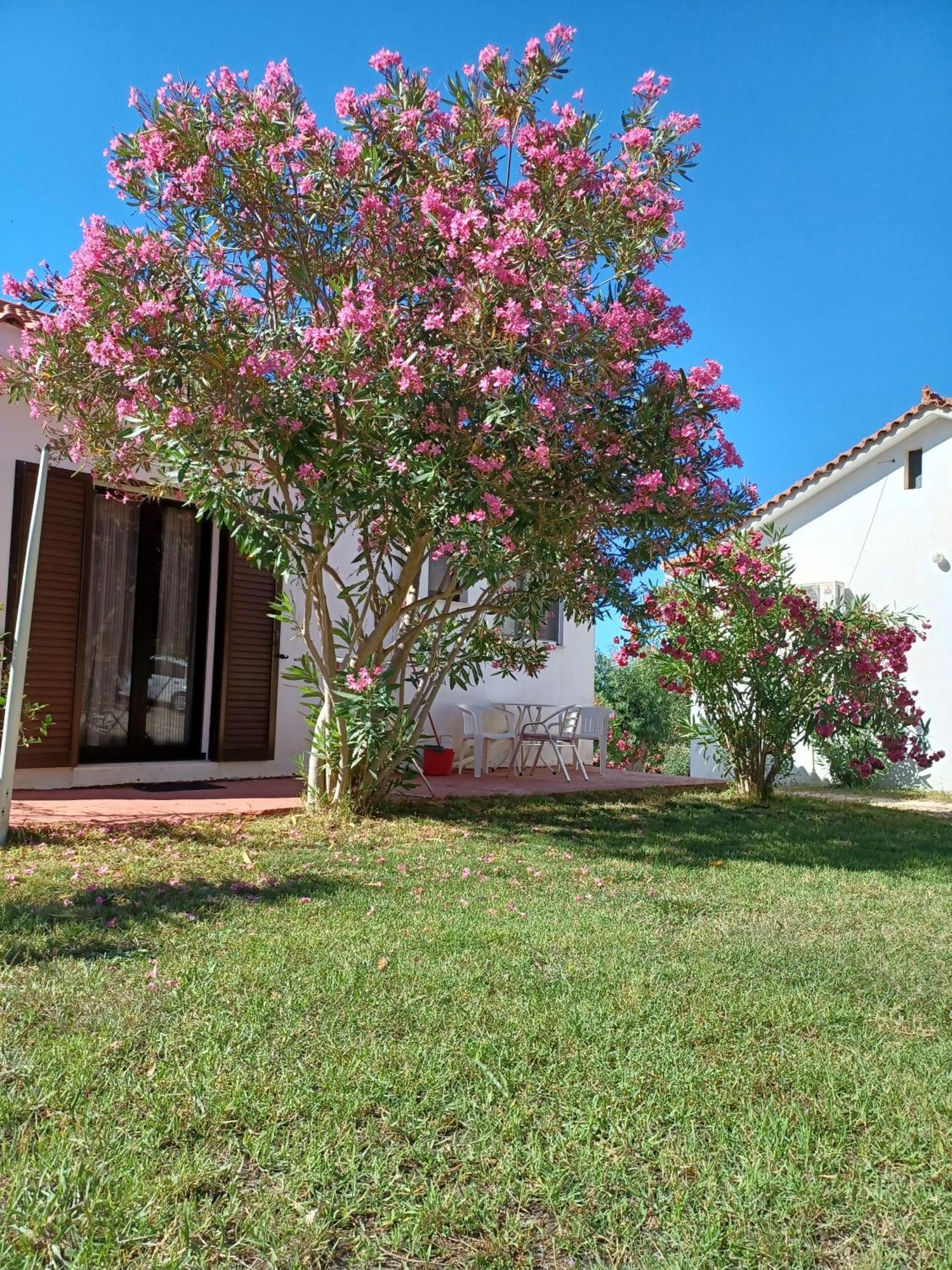 Nerissa Bungalow 2, Two Bedroom House With Sea View スパルティア エクステリア 写真